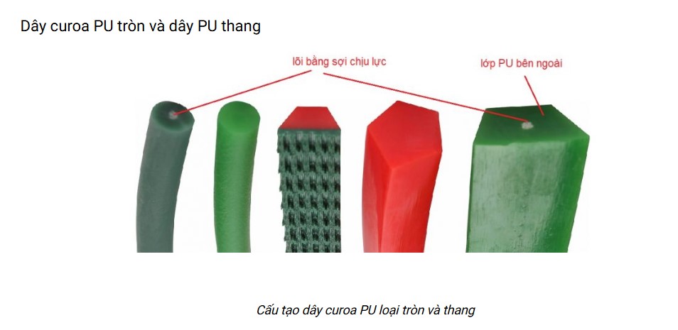 Cấu tạo dây curoa PU tròn và thang